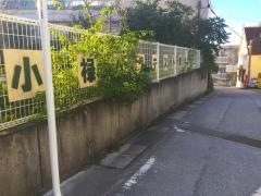 小緑教会