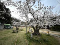 滝の宮公園