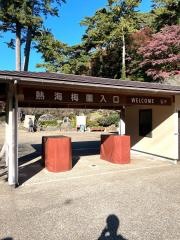 熱海梅園