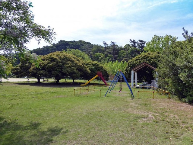 投稿写真1