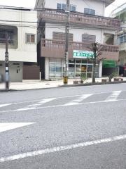 島袋カイロオステ
