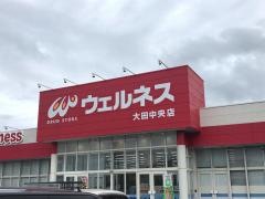 ドラッグストアウェルネス　大田中央店
