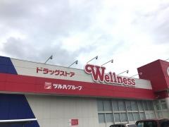 ドラッグストアウェルネス　大田中央店
