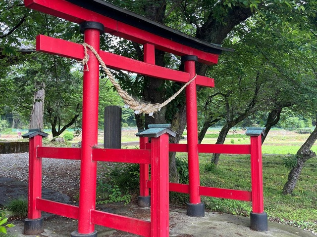 投稿写真4