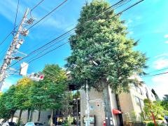 武蔵野市民文化会館