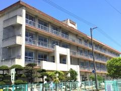 新涯小学校
