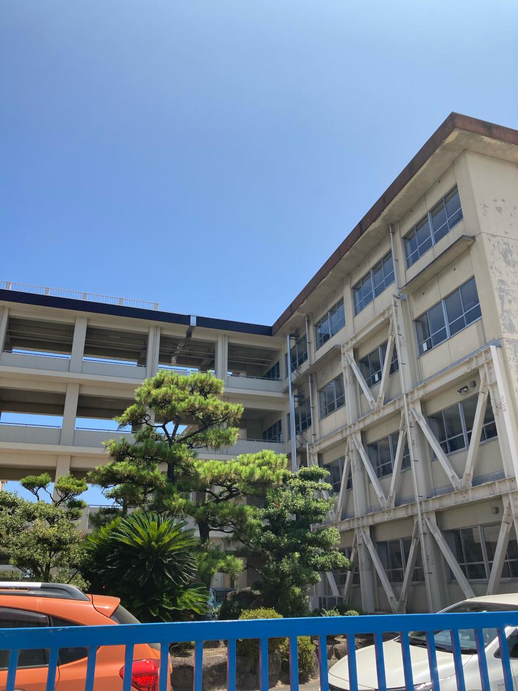 新涯 小学校