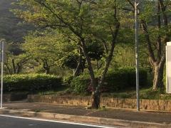 安部山公園