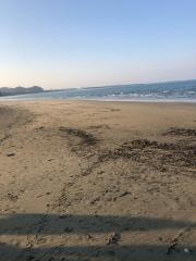青島