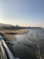 青島