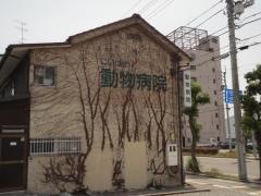 にいはま動物病院