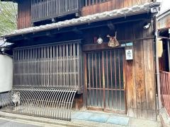 かぶと