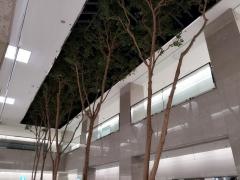 北の家族　仙台第一生命タワービル店