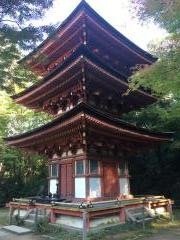 浄瑠璃寺庭園