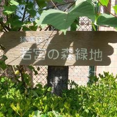 若宮の森緑地