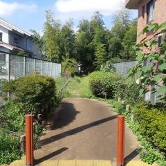 若宮の森緑地