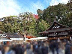 吉田節分祭