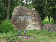 兵庫教育大学