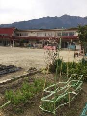 小林保育所