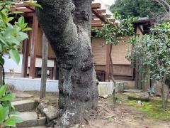 香下庵・茶屋