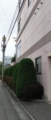 村上耳鼻咽喉科医院