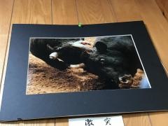 まんぷく食堂