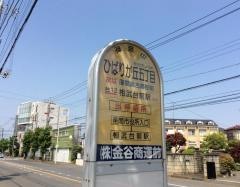 「ひばりが丘五丁目」バス停留所