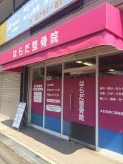 はらだ整骨院