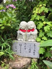 神宮寺（あじさい寺）