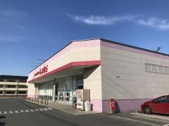 ファッションセンターしまむら　石下店