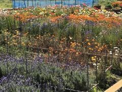 花の里フローラルビレッジ名倉