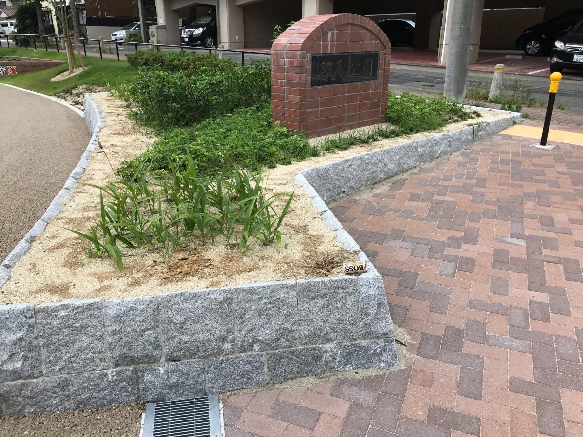 外観を撮影