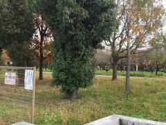 包近公園