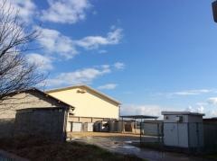 河崎小学校