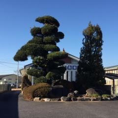 寺島歯科