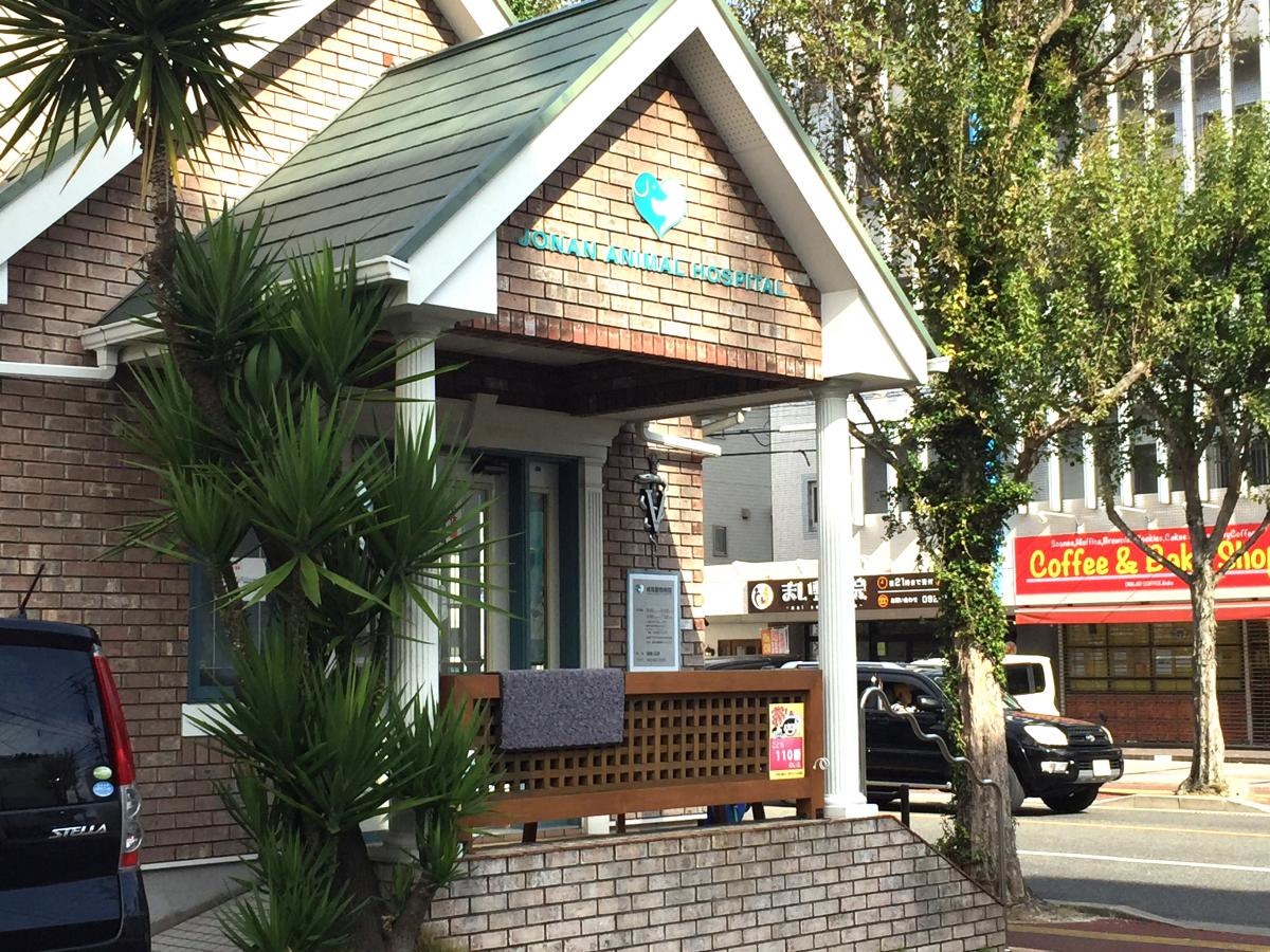 城南動物病院