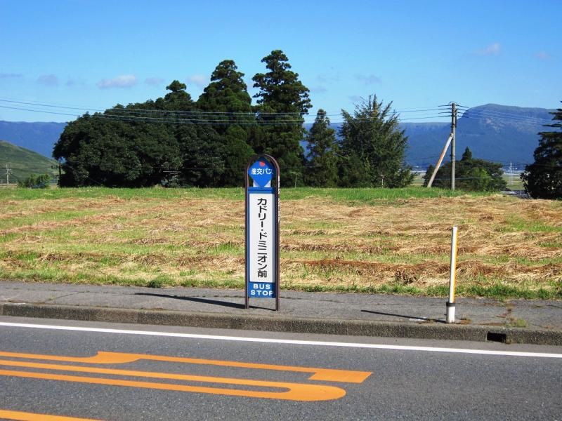 「カドリー・ドミニオン前」バス停留所