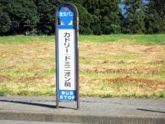 「カドリー・ドミニオン前」バス停留所