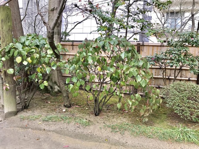 施設写真16