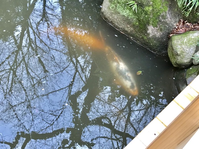 施設写真29