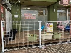 おうち保育園かしわぎ