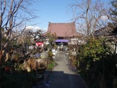 常泉寺