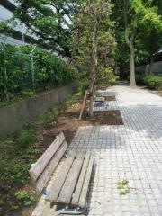平間緑道緑地