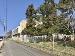 高茶屋小学校