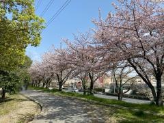 深北緑地