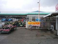 コメリハード＆グリーン　有明店