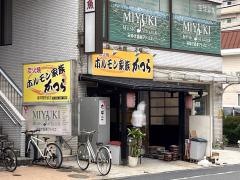 ホルモン家族かつら