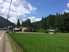 水と緑のふる里森の駅