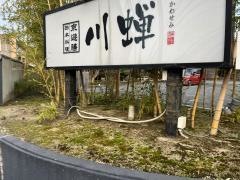 川蝉