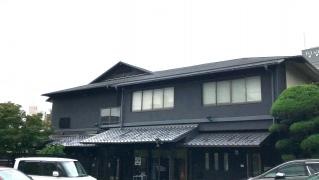 川蝉
